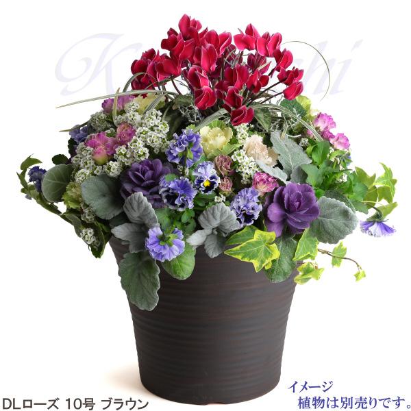 植木鉢　陶器　おしゃれ　サイズ　３１．５ｃｍ　安くて丈夫　ＤＬローズ　１０号　ブラウン |  | 08