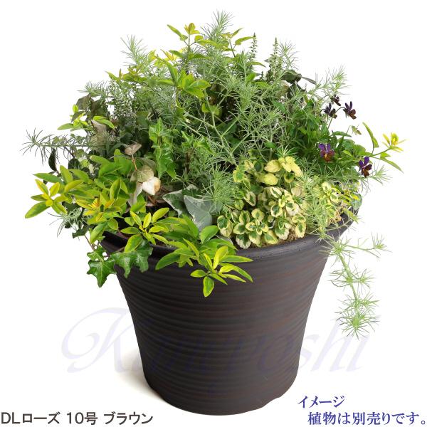 植木鉢　陶器　おしゃれ　サイズ　３１．５ｃｍ　安くて丈夫　ＤＬローズ　１０号　ブラウン |  | 11