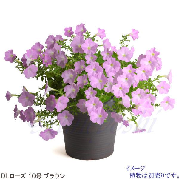 植木鉢　陶器　おしゃれ　サイズ　３１．５ｃｍ　安くて丈夫　ＤＬローズ　１０号　ブラウン |  | 09