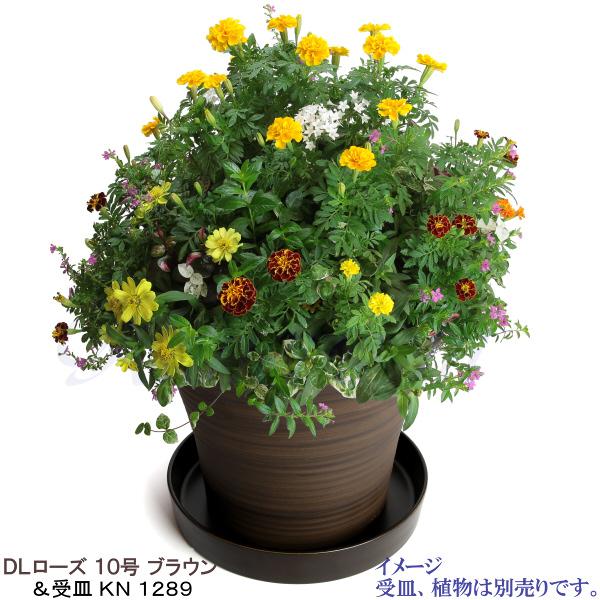 植木鉢　陶器　おしゃれ　サイズ　３１．５ｃｍ　安くて丈夫　ＤＬローズ　１０号　ブラウン |  | 12