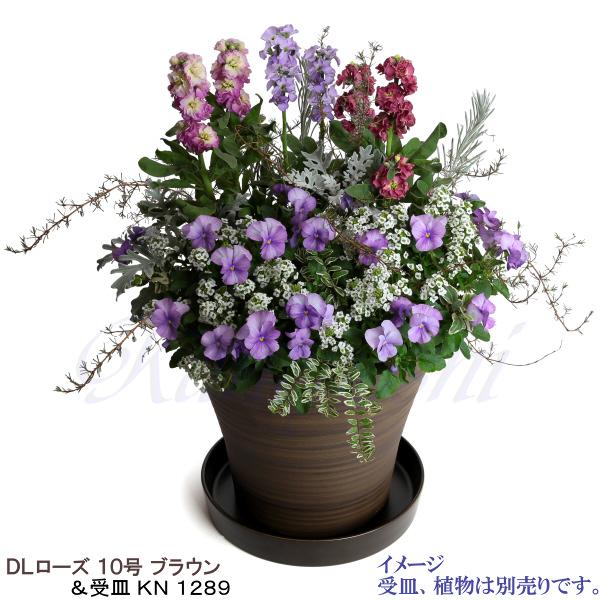 植木鉢　陶器　おしゃれ　サイズ　３１．５ｃｍ　安くて丈夫　ＤＬローズ　１０号　ブラウン |  | 13