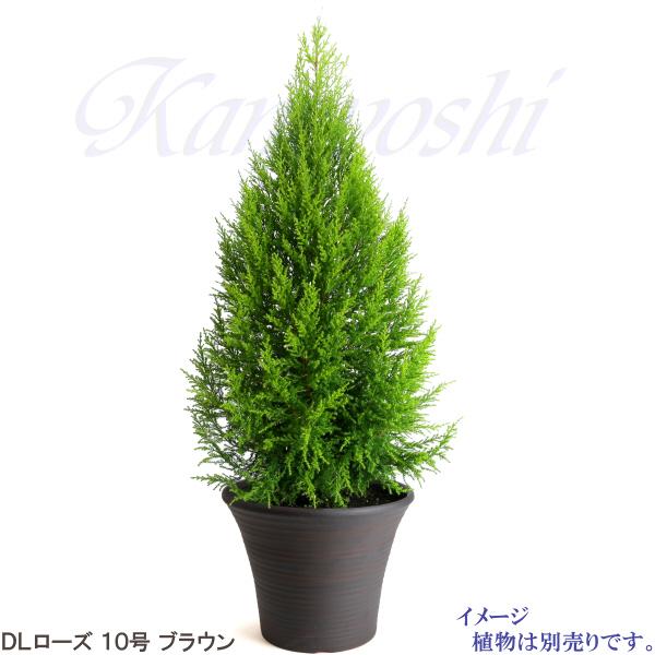 植木鉢　陶器　おしゃれ　サイズ　３１．５ｃｍ　安くて丈夫　ＤＬローズ　１０号　ブラウン |  | 07