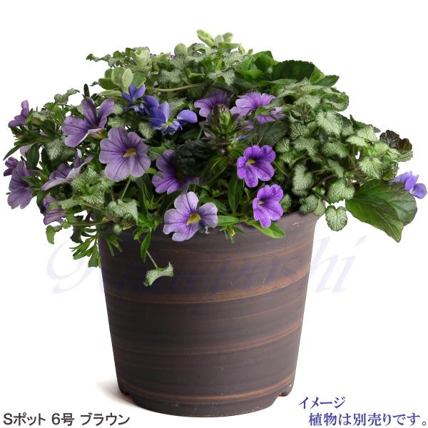 植木鉢 おしゃれ 安い 陶器 サイズ 18.5cm Sポット 6号 ブラウン 室内 屋外 茶 色 |  | 09
