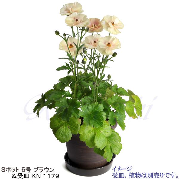 植木鉢 おしゃれ 安い 陶器 サイズ 18.5cm Sポット 6号 ブラウン 室内 屋外 茶 色 |  | 12