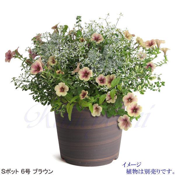 植木鉢 おしゃれ 安い 陶器 サイズ 18.5cm Sポット 6号 ブラウン 室内 屋外 茶 色 |  | 08