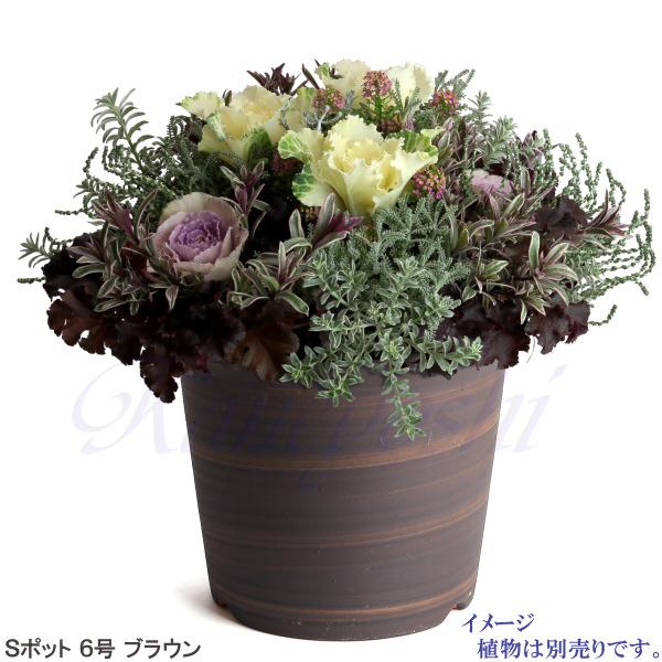 植木鉢 おしゃれ 安い 陶器 サイズ 18.5cm Sポット 6号 ブラウン 室内 屋外 茶 色 |  | 07