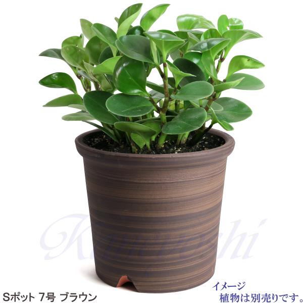 植木鉢 おしゃれ 安い 陶器 サイズ 22cm Sポット 7号 ブラウン 室内 屋外 茶 色 |  | 09