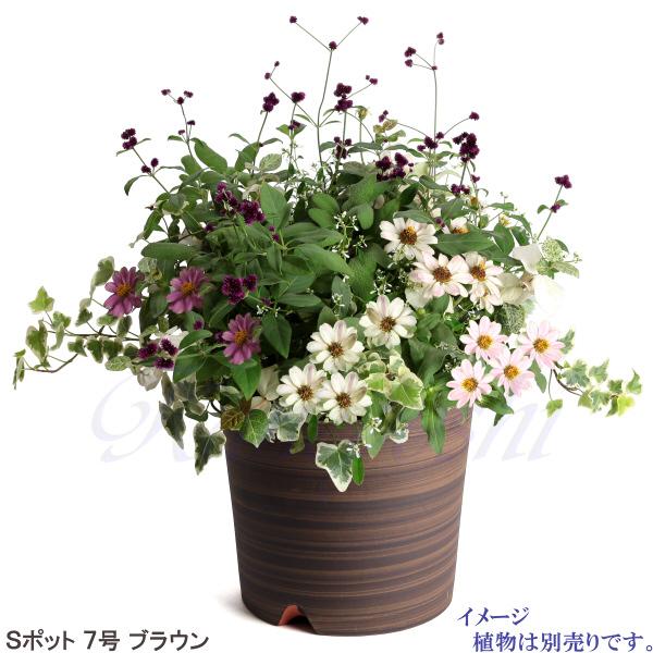 植木鉢 おしゃれ 安い 陶器 サイズ 22cm Sポット 7号 ブラウン 室内 屋外 茶 色 |  | 08