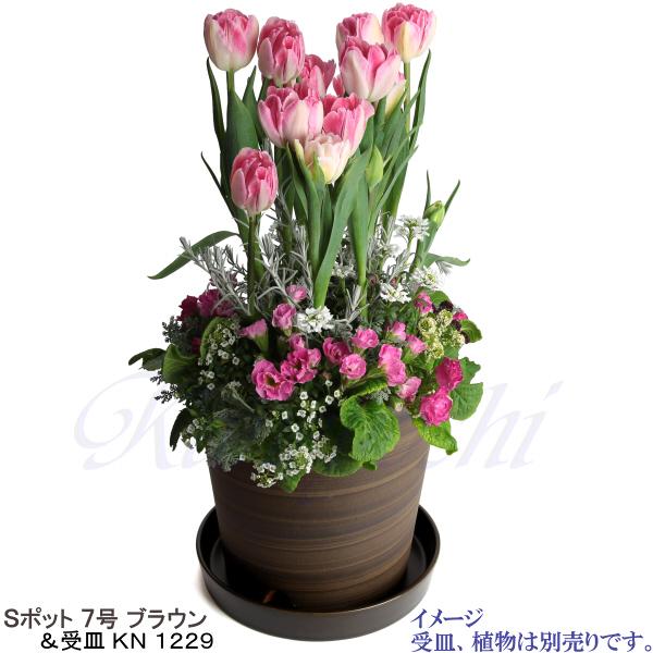 植木鉢 おしゃれ 安い 陶器 サイズ 22cm Sポット 7号 ブラウン 室内 屋外 茶 色 |  | 11