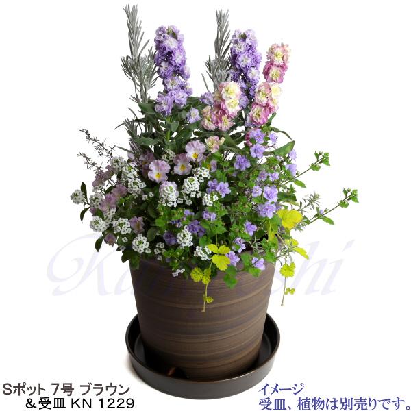 植木鉢 おしゃれ 安い 陶器 サイズ 22cm Sポット 7号 ブラウン 室内 屋外 茶 色 |  | 12