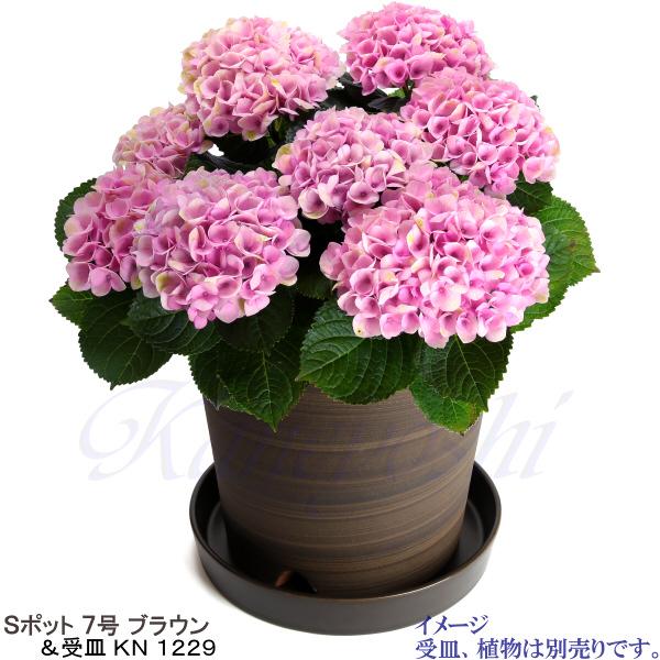 植木鉢 おしゃれ 安い 陶器 サイズ 22cm Sポット 7号 ブラウン 室内 屋外 茶 色 |  | 13