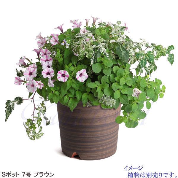 植木鉢 おしゃれ 安い 陶器 サイズ 22cm Sポット 7号 ブラウン 室内 屋外 茶 色 |  | 10