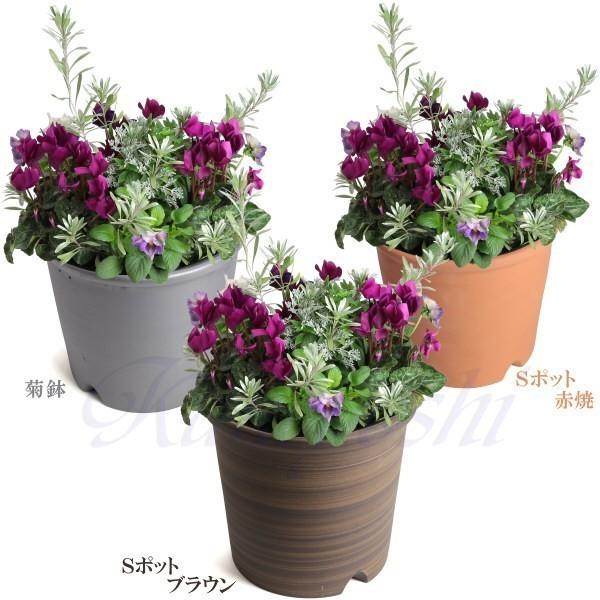 植木鉢 おしゃれ 安い 陶器 サイズ 22cm Sポット 7号 ブラウン 室内 屋外 茶 色 |  | 18