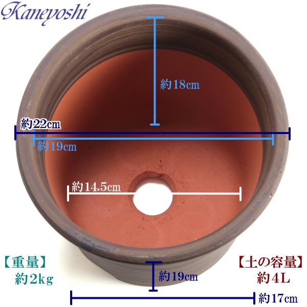 植木鉢 おしゃれ 安い 陶器 サイズ 22cm Sポット 7号 ブラウン 室内 屋外 茶 色 |  | 03