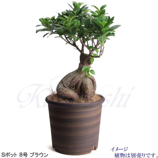 植木鉢 おしゃれ 安い 陶器 サイズ 24.5cm Sポット 8号 ブラウン 室内 屋外 茶 色 |  | 08