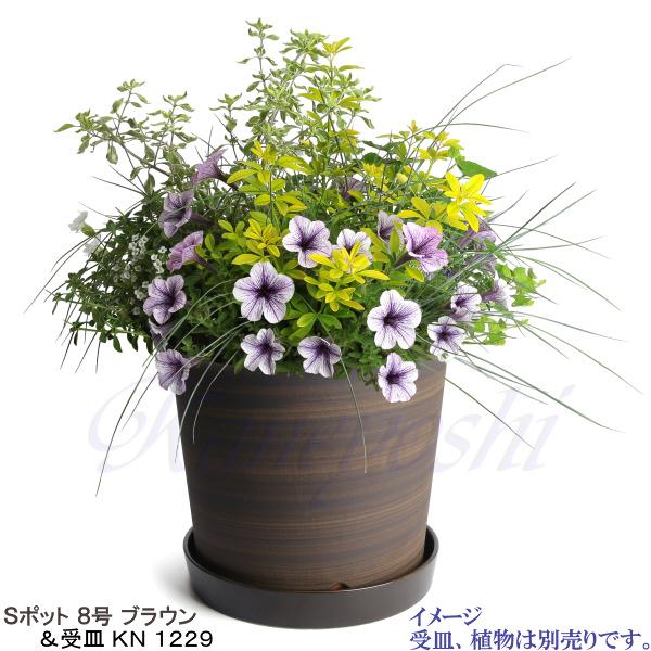 植木鉢 おしゃれ 安い 陶器 サイズ 24.5cm Sポット 8号 ブラウン 室内 屋外 茶 色 |  | 10