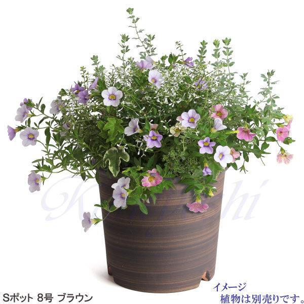 植木鉢 おしゃれ 安い 陶器 サイズ 24.5cm Sポット 8号 ブラウン 室内 屋外 茶 色 |  | 09