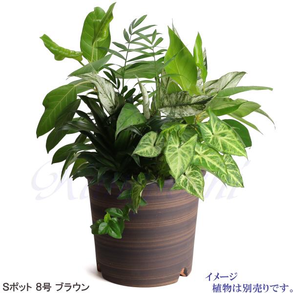 植木鉢 おしゃれ 安い 陶器 サイズ 24.5cm Sポット 8号 ブラウン 室内 屋外 茶 色 |  | 07