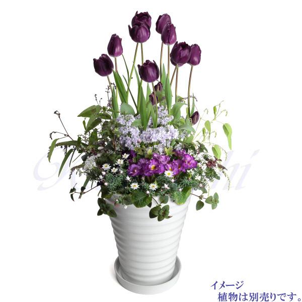 受皿付 植木鉢 縦長 8号 サイズ 鉢 陶器 白 おしゃれ 陶器鉢 大型