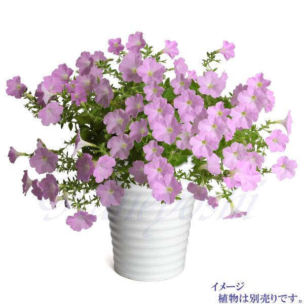 受皿付き 植木鉢 縦長 10号 サイズ 鉢 陶器 白 おしゃれ 大型 室内