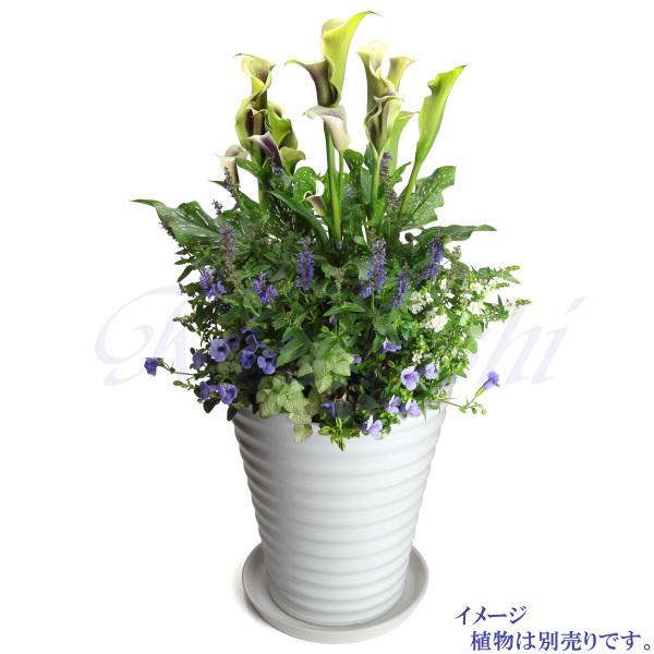 受皿付き 植木鉢 縦長 10号 サイズ 鉢 陶器 白 おしゃれ 大型 室内