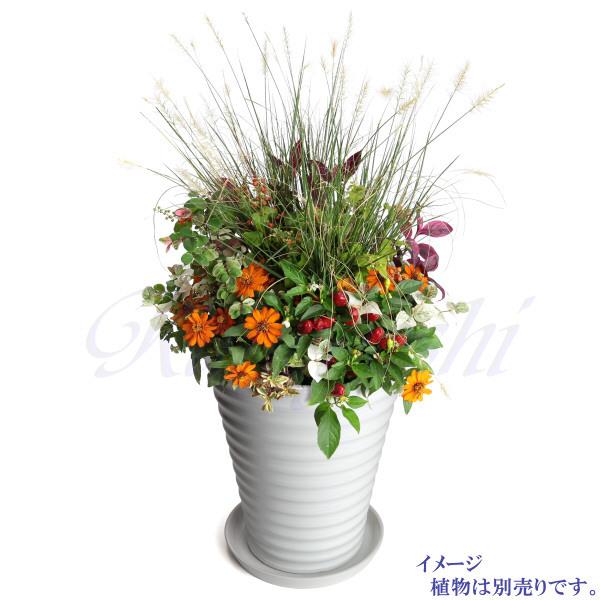受皿付き 植木鉢 縦長 10号 サイズ 鉢 陶器 白 おしゃれ 大型 室内
