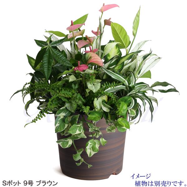 【美品・未使用】レッド 植木鉢 9号 受け皿付　室内 室外 OK✨ 楽天市場】鉢 受け皿 9号の通販