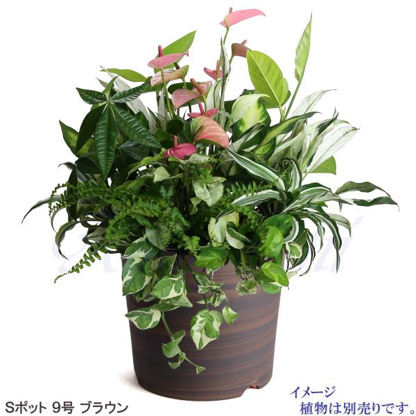 植木鉢 おしゃれ 安い 陶器 サイズ 27.5cm Sポット 9号 ブラウン 室内 屋外 茶 色｜docchan｜08