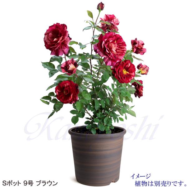 植木鉢 おしゃれ 安い 陶器 サイズ 27.5cm Sポット 9号 ブラウン 室内 屋外 茶 色 |  | 08