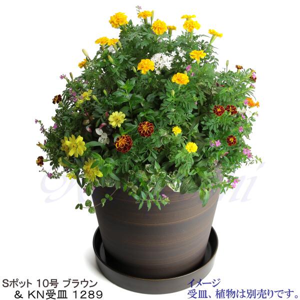 植木鉢 おしゃれ 安い 陶器 サイズ 31cm Sポット 10号 ブラウン 室内 屋外 茶 色 |  | 12
