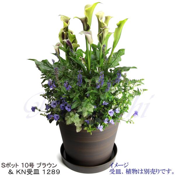 植木鉢 おしゃれ 安い 陶器 サイズ 31cm Sポット 10号 ブラウン 室内 屋外 茶 色 |  | 13