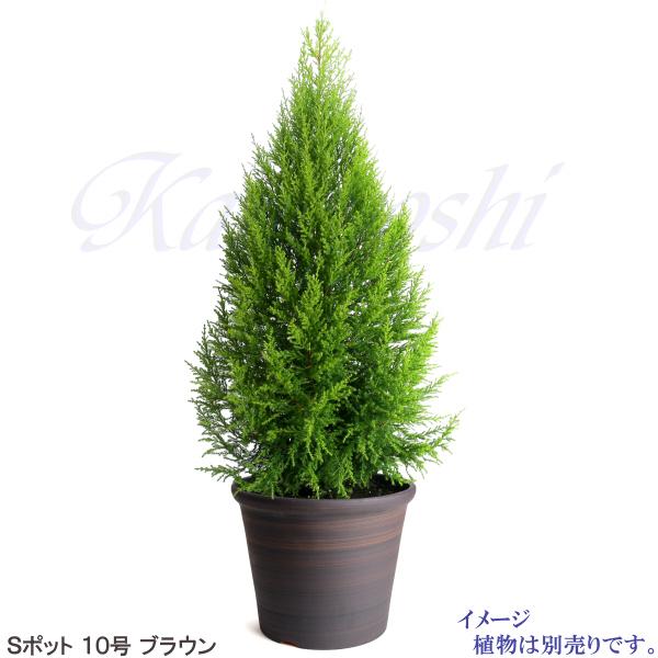 植木鉢 おしゃれ 安い 陶器 サイズ 31cm Sポット 10号 ブラウン 室内 屋外 茶 色 |  | 08