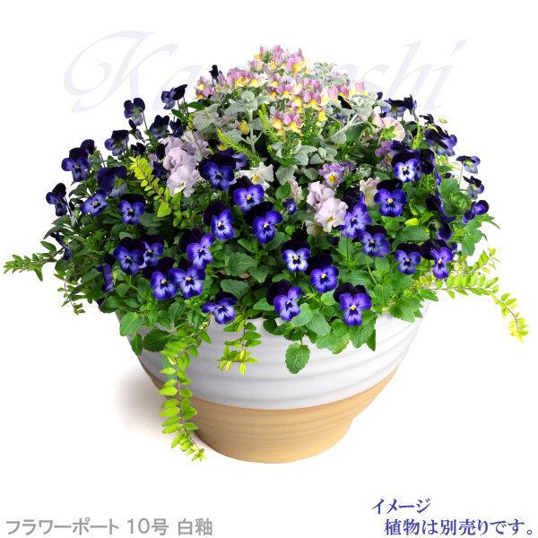 植木鉢 おしゃれ 安い 陶器 サイズ 31cm フラワーポート 10号 白釉 室内 屋外 白 色 |  | 06