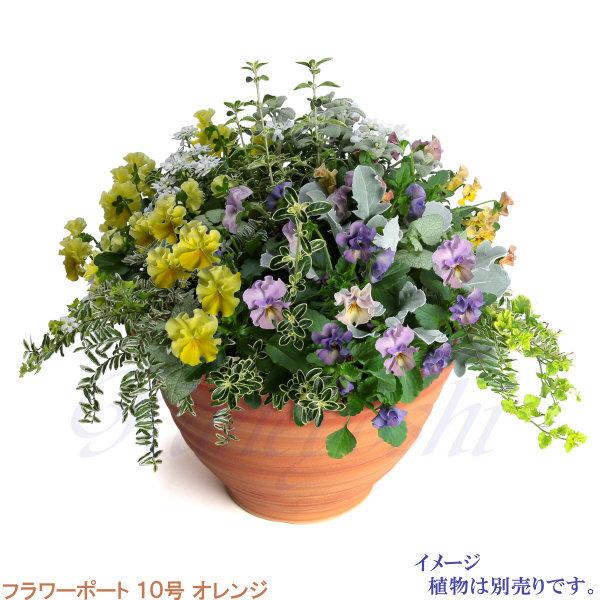 植木鉢 おしゃれ 安い 陶器 サイズ 31cm フラワーポート 10号 オレンジ 室内 屋外 レンガ 色 |  | 06