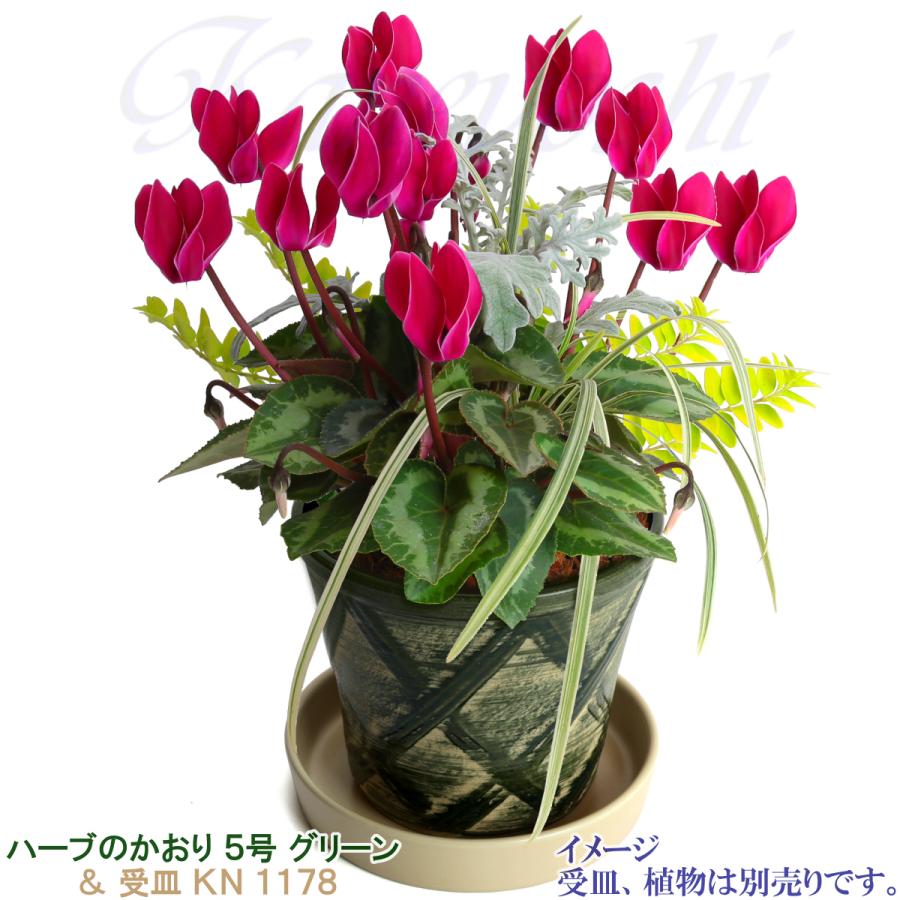 植木鉢 おしゃれ 安い 陶器 サイズ 16cm ハーブのかおり 5号 グリーン 室内 屋外 緑 色 |  | 10