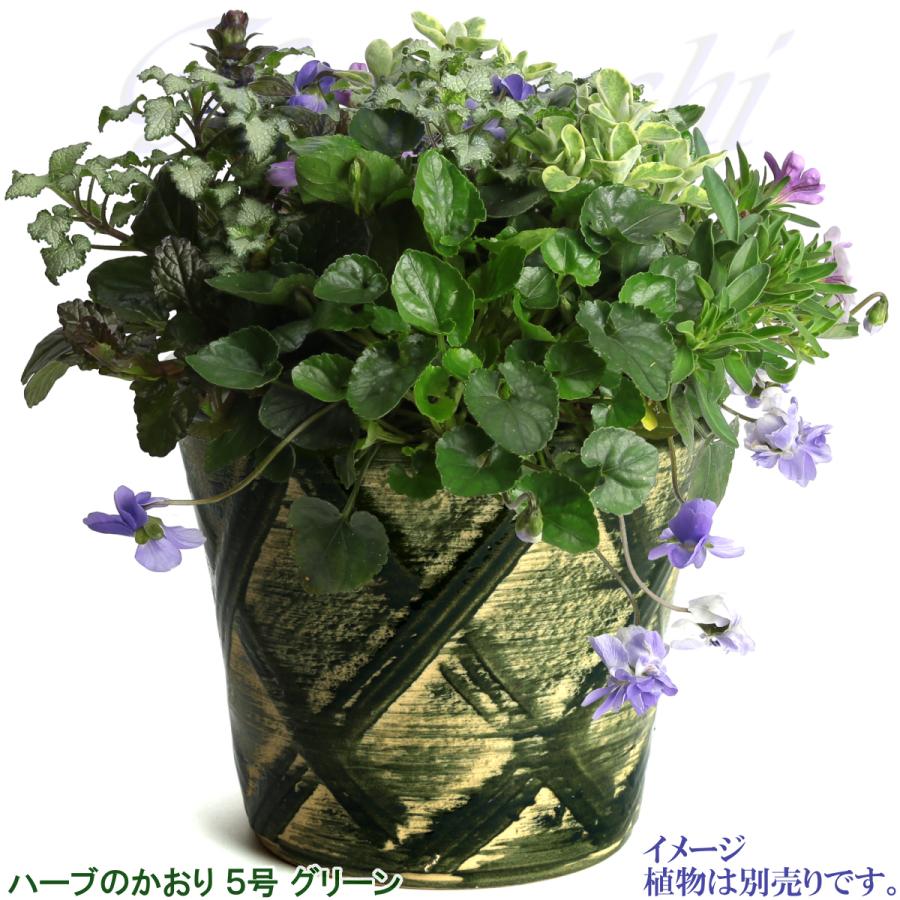 植木鉢 おしゃれ 安い 陶器 サイズ 16cm ハーブのかおり 5号 グリーン 室内 屋外 緑 色 |  | 07
