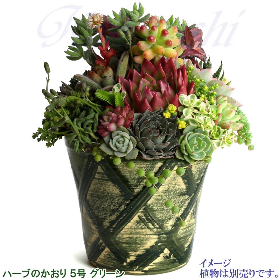 植木鉢 おしゃれ 安い 陶器 サイズ 16cm ハーブのかおり 5号 グリーン 室内 屋外 緑 色 |  | 08