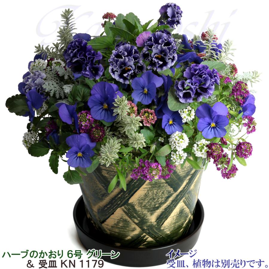 植木鉢 おしゃれ 安い 陶器 サイズ 19cm ハーブのかおり 6号 グリーン 室内 屋外 緑 色 |  | 11