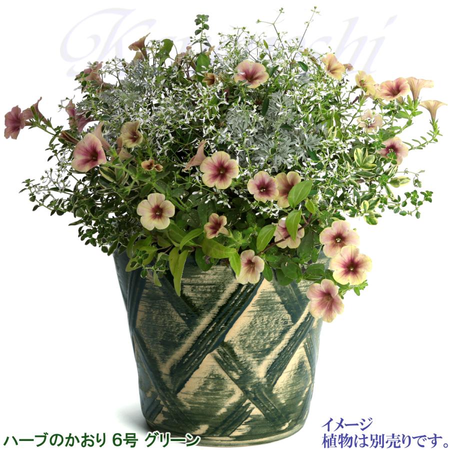 植木鉢 おしゃれ 安い 陶器 サイズ 19cm ハーブのかおり 6号 グリーン 室内 屋外 緑 色 |  | 07