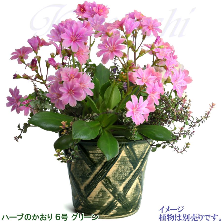 植木鉢 おしゃれ 安い 陶器 サイズ 19cm ハーブのかおり 6号 グリーン 室内 屋外 緑 色 |  | 09