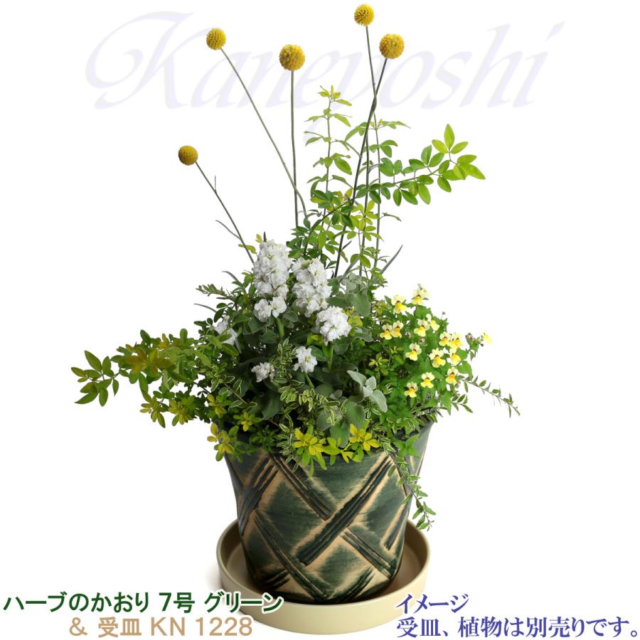 植木鉢 おしゃれ 安い 陶器 サイズ 23cm ハーブのかおり 7号 グリーン 室内 屋外 緑 色 |  | 10