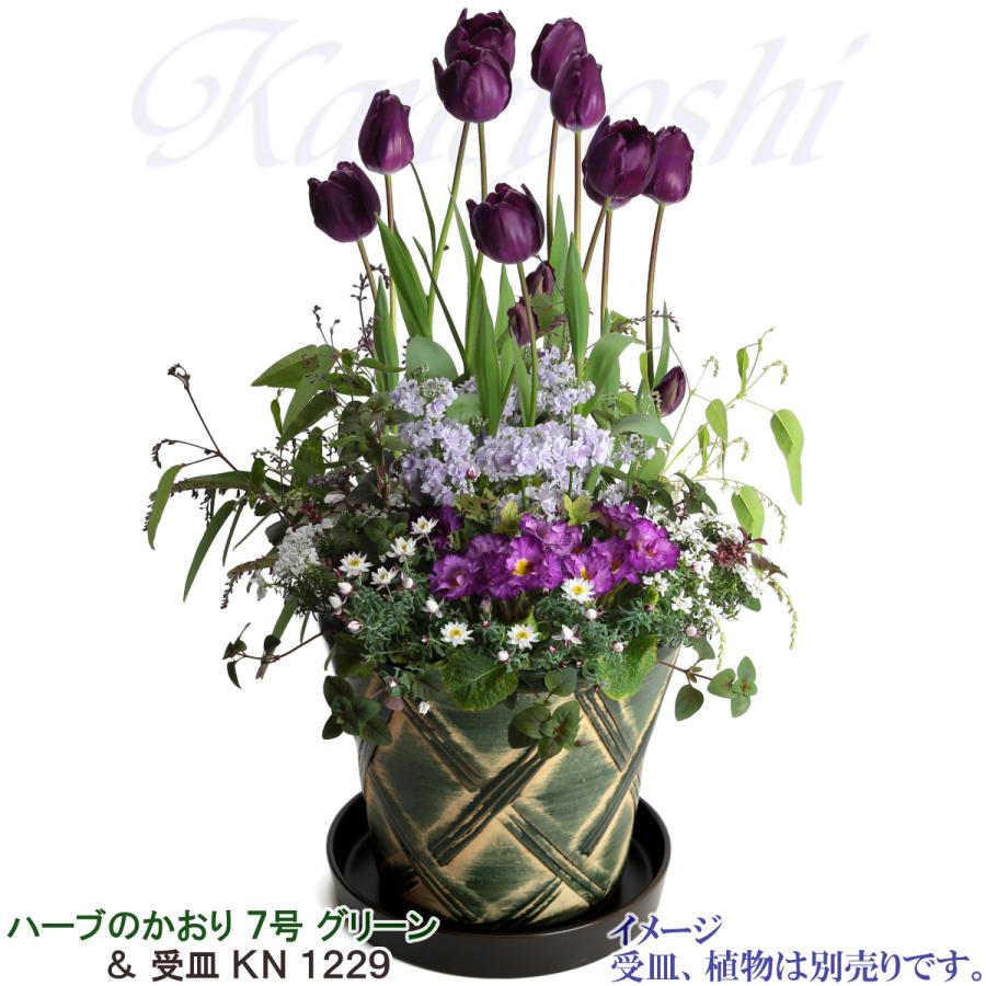 植木鉢 おしゃれ 安い 陶器 サイズ 23cm ハーブのかおり 7号 グリーン 室内 屋外 緑 色 |  | 11