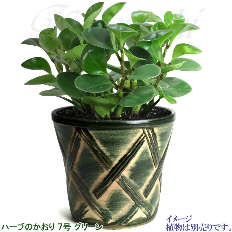 植木鉢 おしゃれ 安い 陶器 サイズ 23cm ハーブのかおり 7号 グリーン 室内 屋外 緑 色 |  | 07