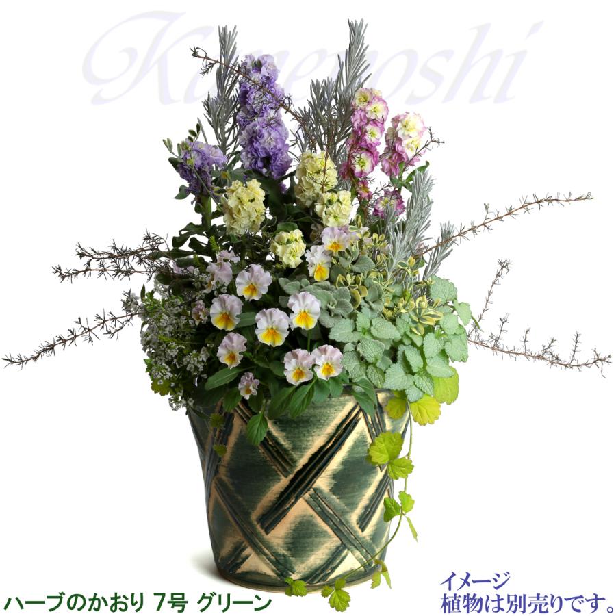 植木鉢 おしゃれ 安い 陶器 サイズ 23cm ハーブのかおり 7号 グリーン 室内 屋外 緑 色 |  | 08