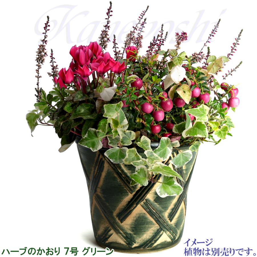 植木鉢 おしゃれ 安い 陶器 サイズ 23cm ハーブのかおり 7号 グリーン 室内 屋外 緑 色 |  | 09