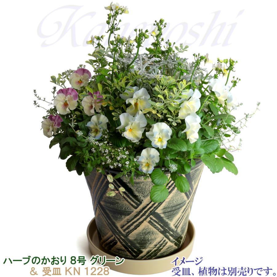 植木鉢 おしゃれ 安い 陶器 サイズ 25cm ハーブのかおり 8号 グリーン 室内 屋外 緑 色 |  | 10