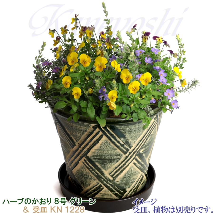 植木鉢 おしゃれ 安い 陶器 サイズ 25cm ハーブのかおり 8号 グリーン 室内 屋外 緑 色 |  | 11