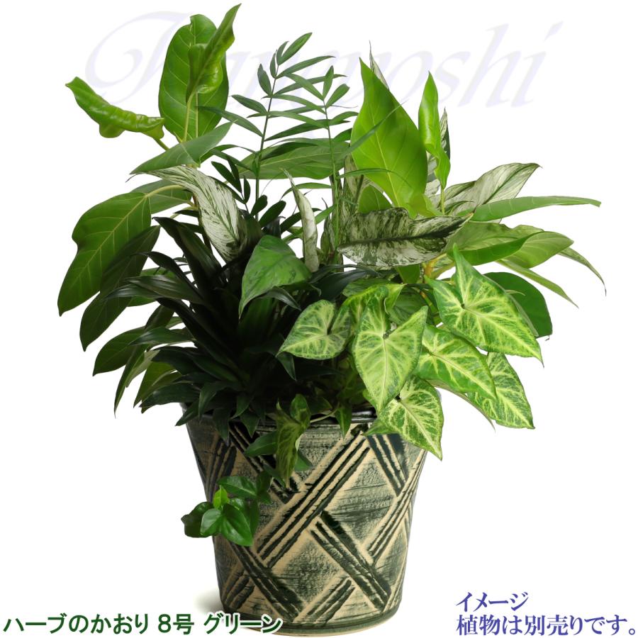 植木鉢 おしゃれ 安い 陶器 サイズ 25cm ハーブのかおり 8号 グリーン 室内 屋外 緑 色 |  | 07