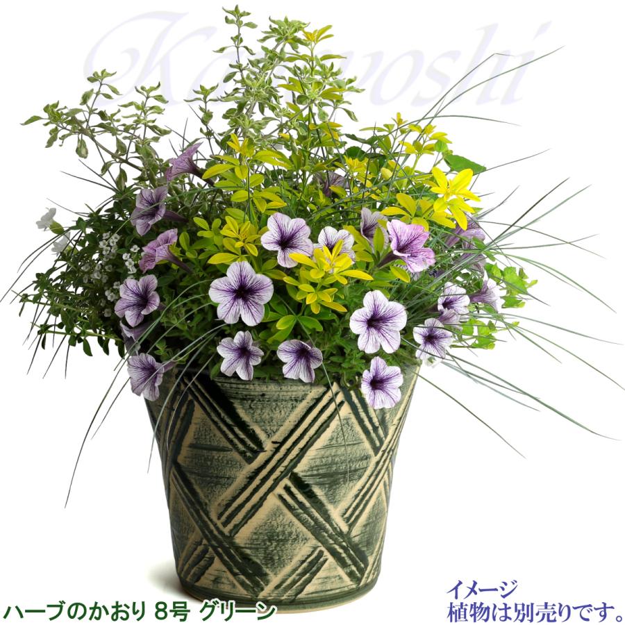 植木鉢 おしゃれ 安い 陶器 サイズ 25cm ハーブのかおり 8号 グリーン 室内 屋外 緑 色 |  | 08