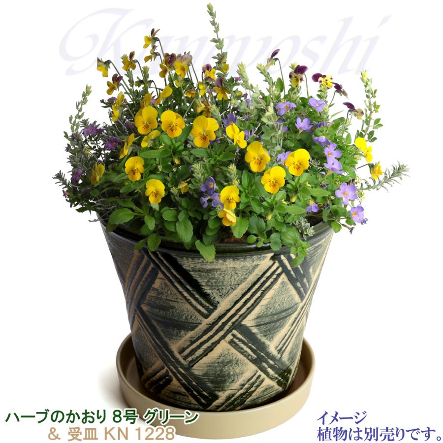 植木鉢 おしゃれ 安い 陶器 サイズ 25cm ハーブのかおり 8号 グリーン 室内 屋外 緑 色 |  | 09